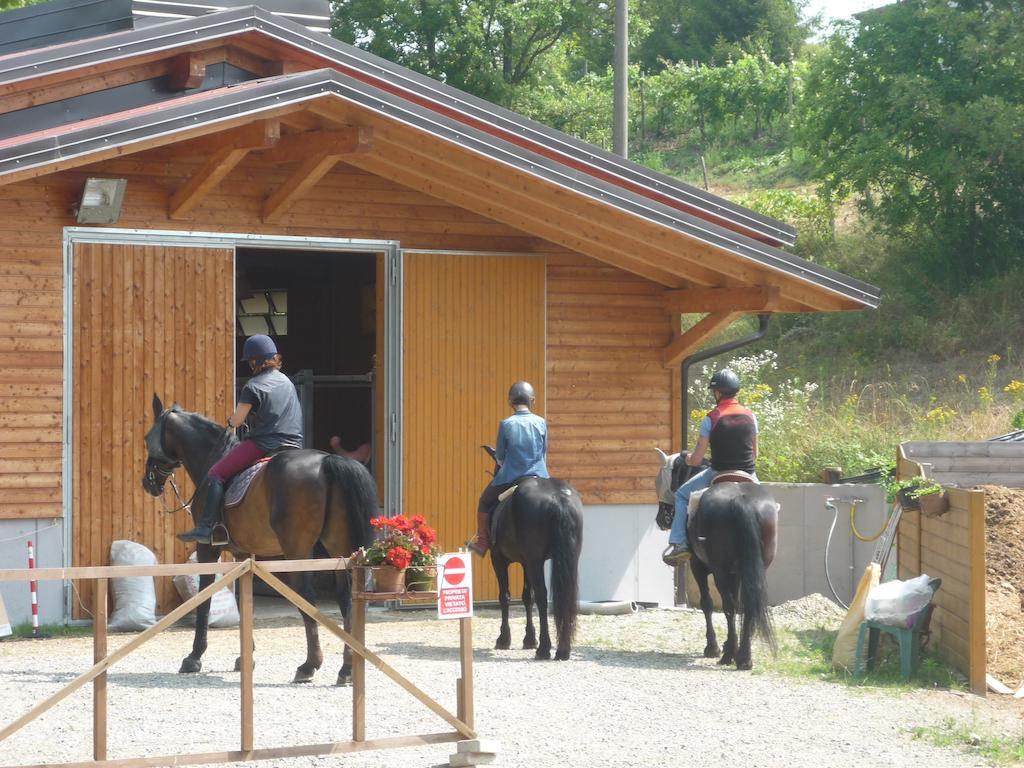 Micro-Cottage In Pietra La Ratatouille Dego エクステリア 写真