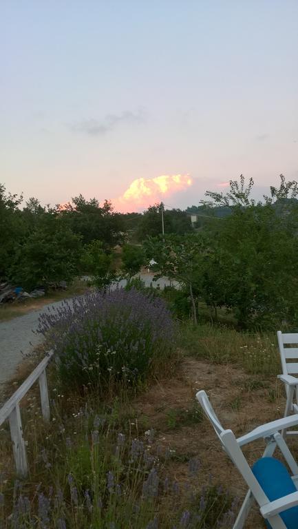 Micro-Cottage In Pietra La Ratatouille Dego エクステリア 写真