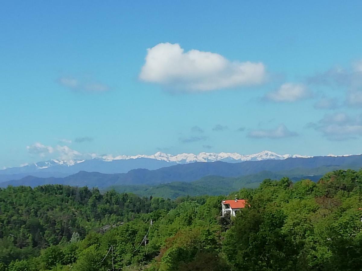 Micro-Cottage In Pietra La Ratatouille Dego エクステリア 写真